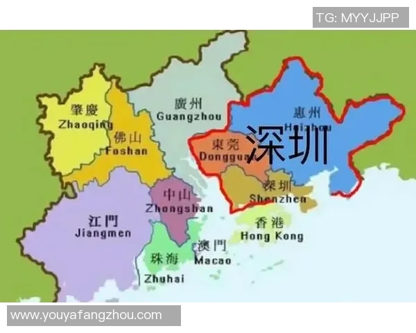 深圳排球队全运会精彩表现解析团队协作的重要性与未来发展方向 深圳排球队全运会精彩表现解析团队协作的重要性与未来发展方向